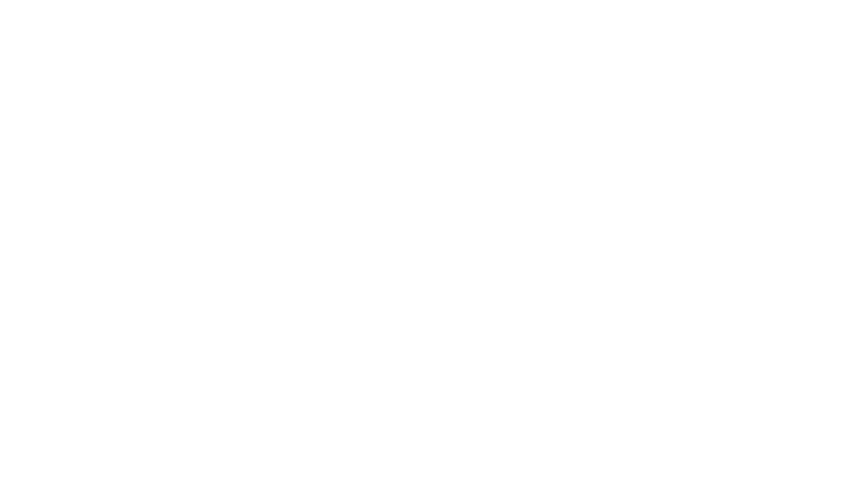 A10-logo